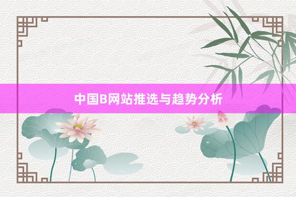 中国B网站推选与趋势分析