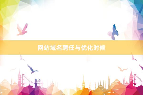网站域名聘任与优化时候