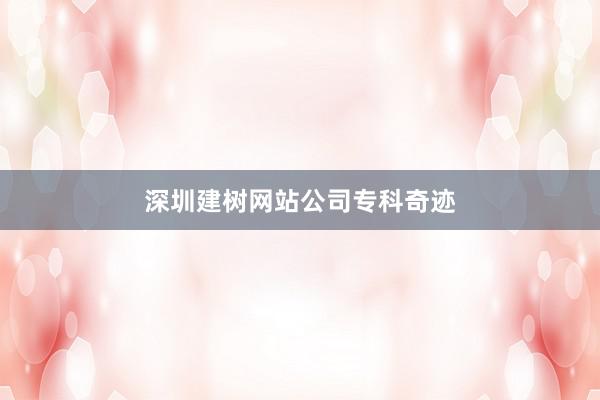 深圳建树网站公司专科奇迹