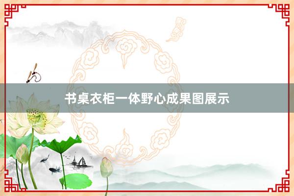 书桌衣柜一体野心成果图展示