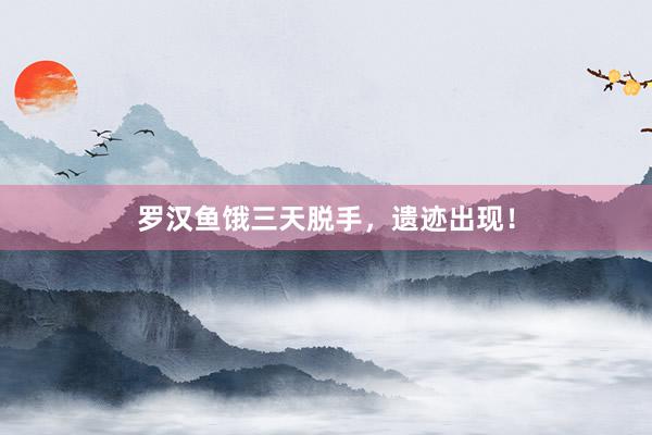罗汉鱼饿三天脱手，遗迹出现！