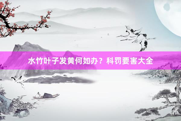 水竹叶子发黄何如办？科罚要害大全